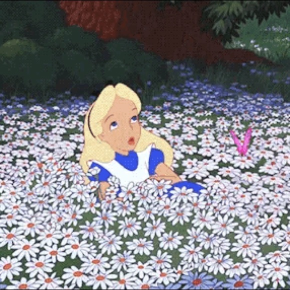 Meet your Posher, Grecia - Picture 1 of 1